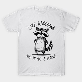 I Like Raccoons And Maybe 3 People | Sarcasm T-Shirt